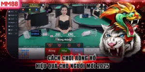 Cách Chơi Rồng Hổ Hiệu Quả Cho Người Mới 2025
